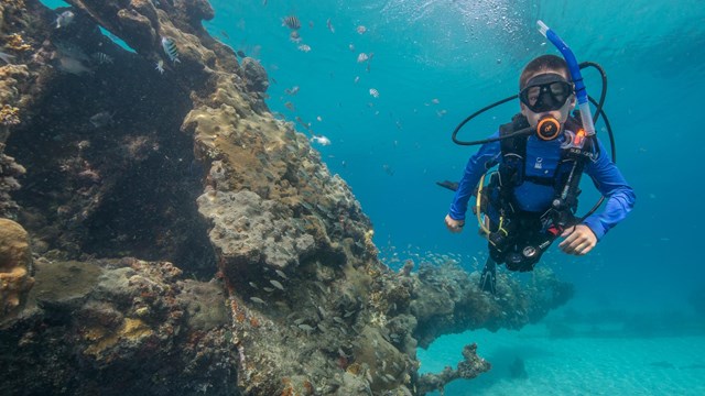 A boy scuba dives at Dry Tortugas National Park